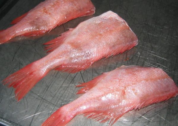 Redfish Frozen Suppliers Exporters